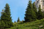 2014-07-05_Laengental-N-Hochweg (746). JPG